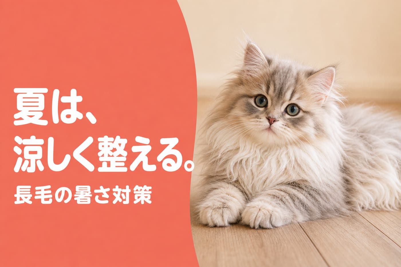 夏は涼しく整えると伝えるサーモン帯バナーと床でくつろぐ長毛の子猫