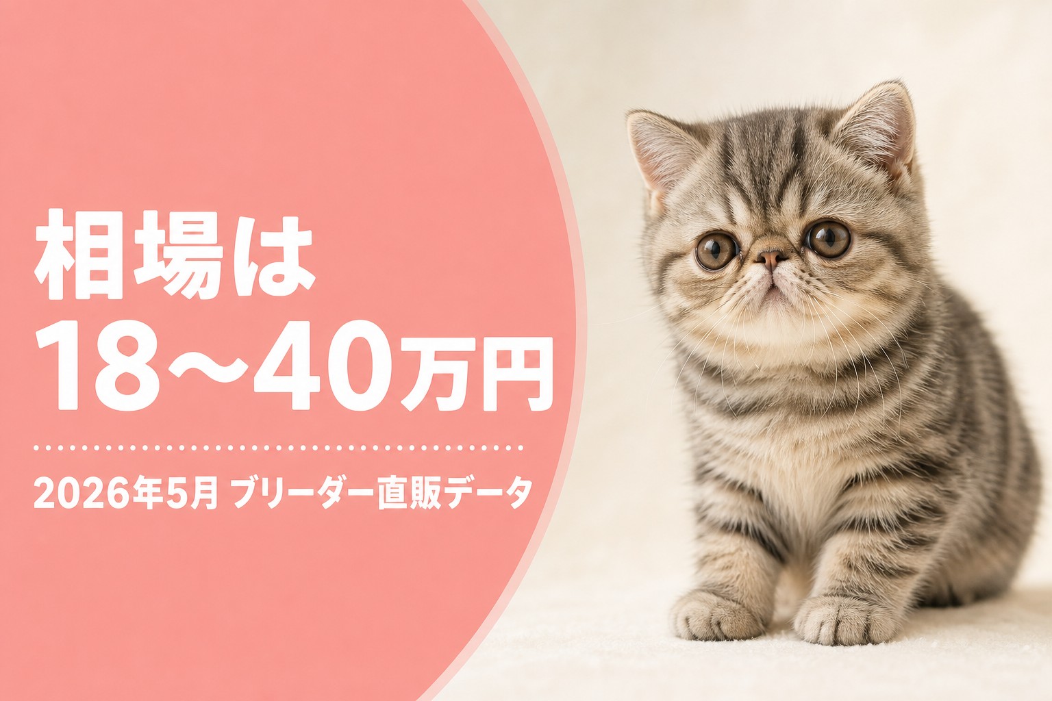 エキゾチックショートヘアの相場バナー