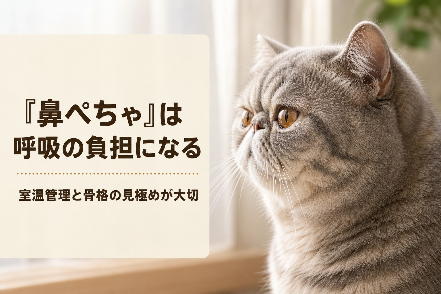 鼻ぺちゃ短頭種の呼吸負担を解説