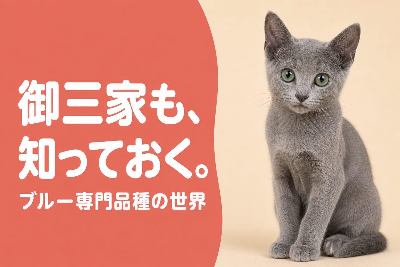 ブルー御三家も知っておくと伝えるサーモン帯バナーと緑の瞳のすらりとしたグレーの子猫