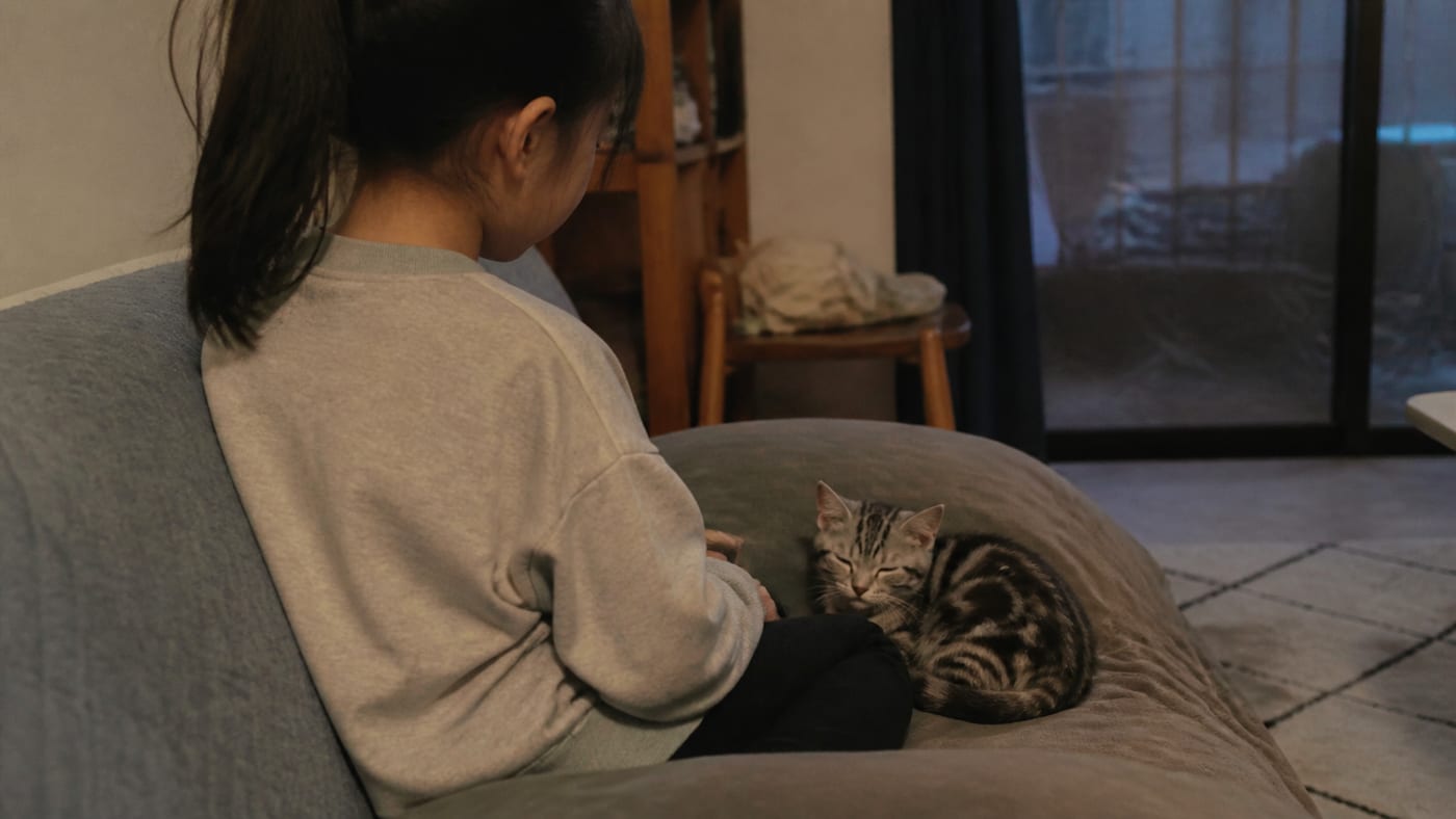 リビングでソファに座り、隣で丸くなる子猫を静かに見つめる子供の後ろ姿
