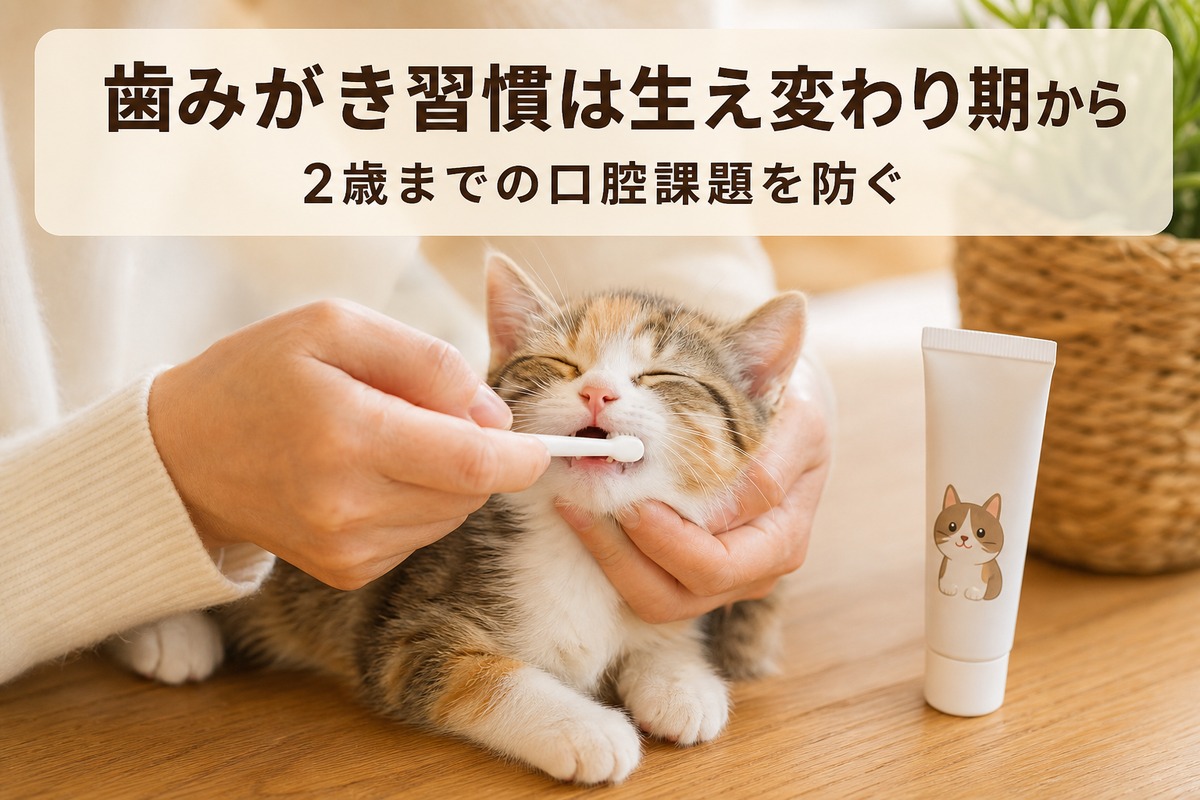 歯みがき習慣は生え変わり期から