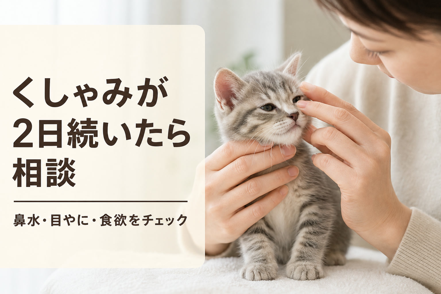 くしゃみが2日続いたら相談・鼻水・目やに・食欲を観察する子猫ケア