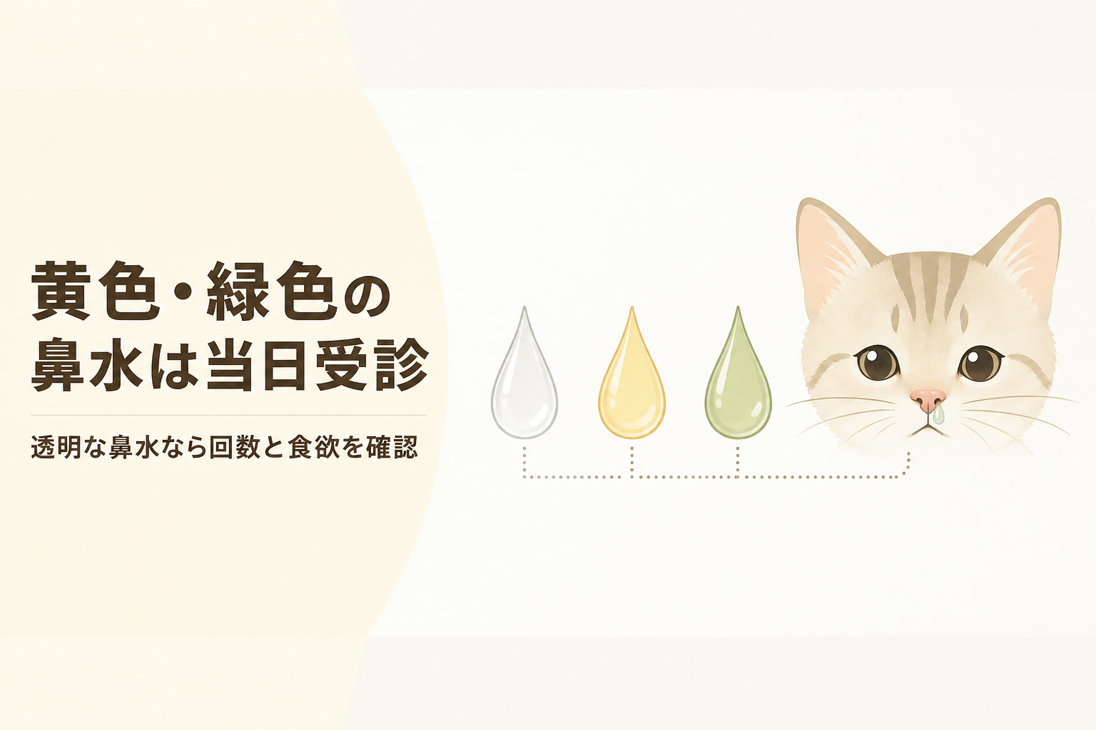 黄色・緑色の鼻水は当日受診・透明なら回数と食欲を確認