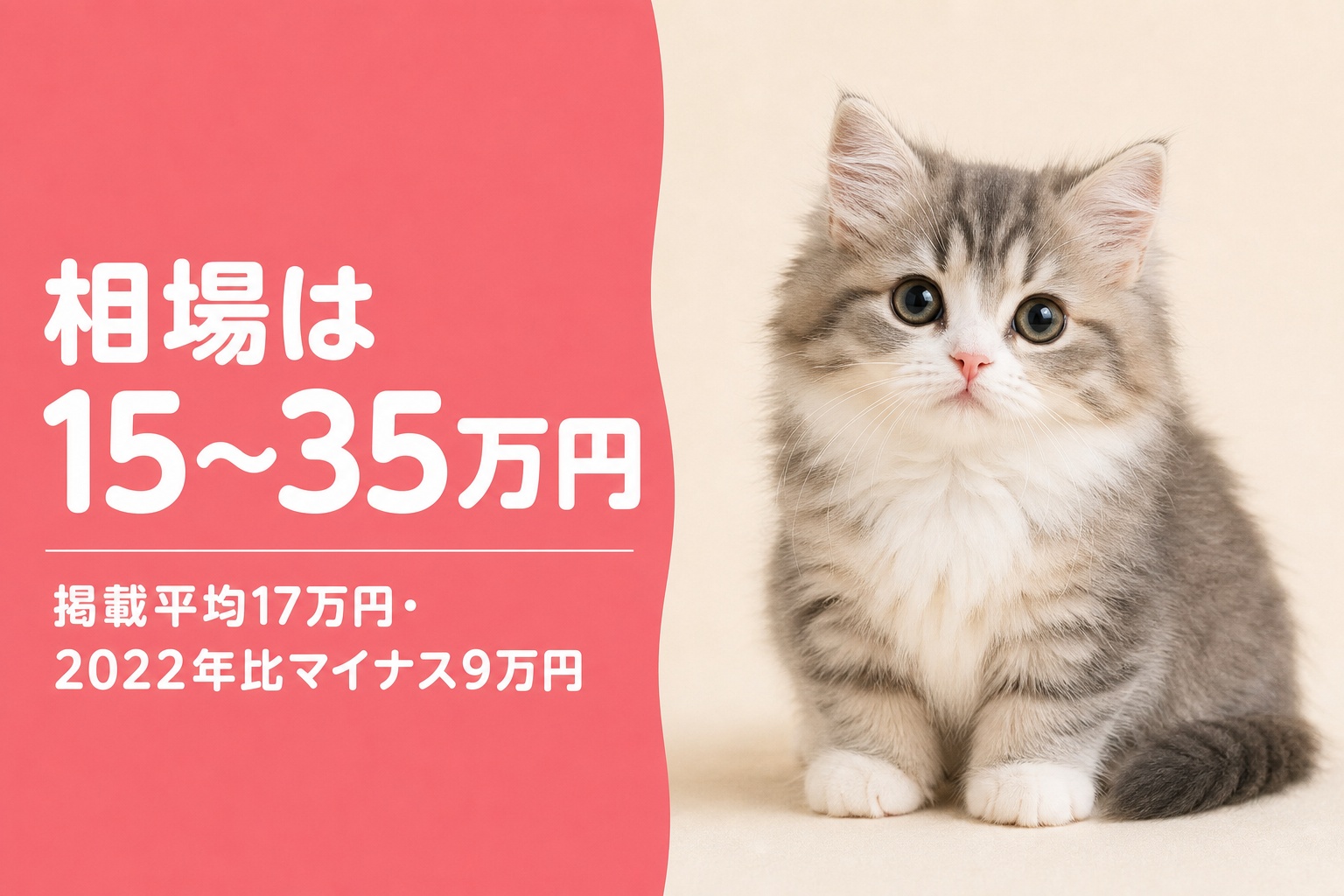 ミヌエットの相場は15から35万円と示すバナー画像