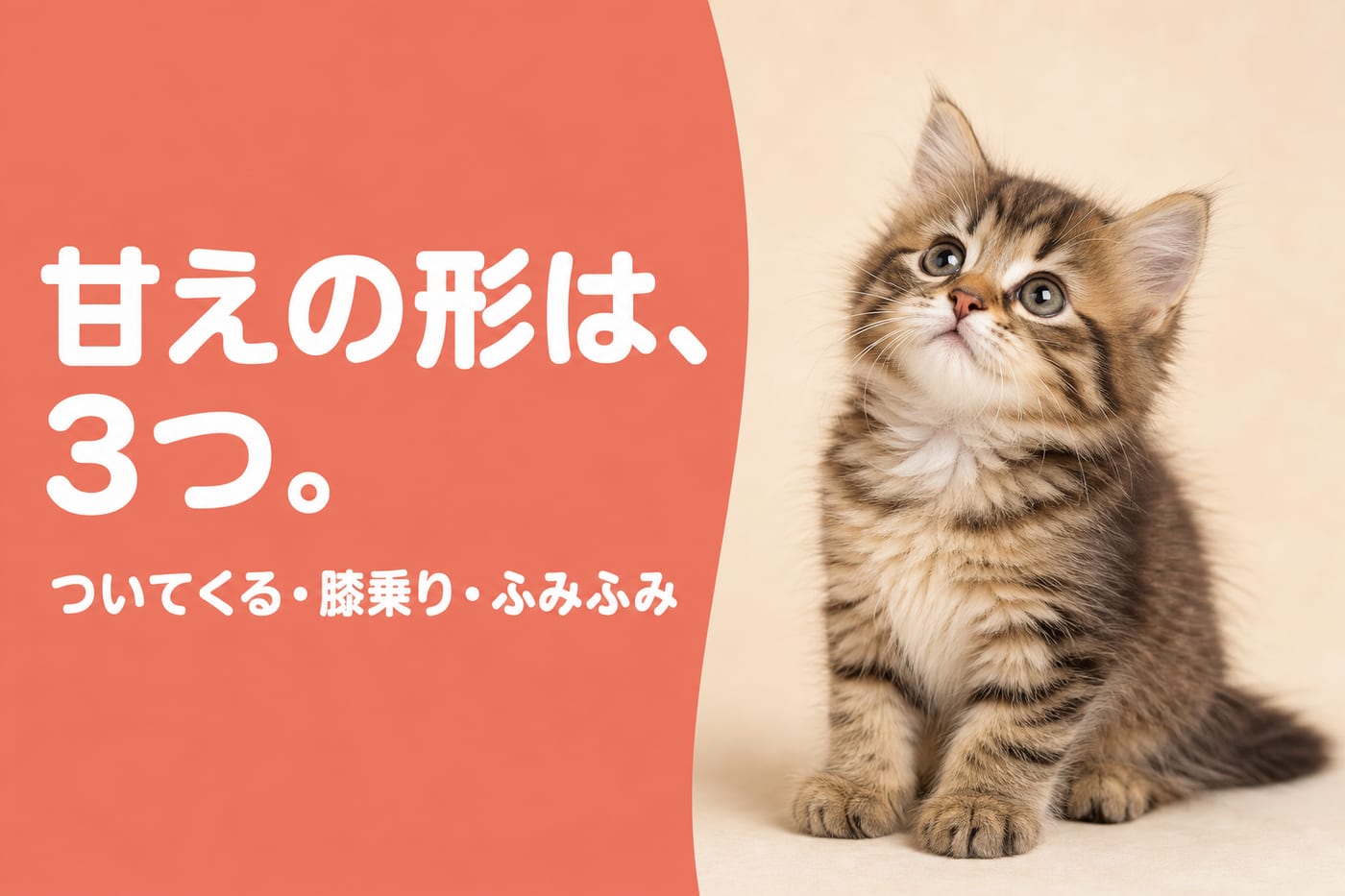 甘えの形は3つと伝えるサーモン帯バナーと見上げるふわふわの子猫