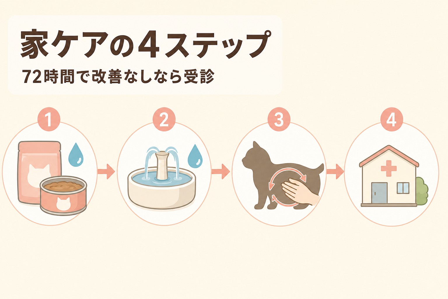 猫便秘の食事改善と水分補給ケアフロー