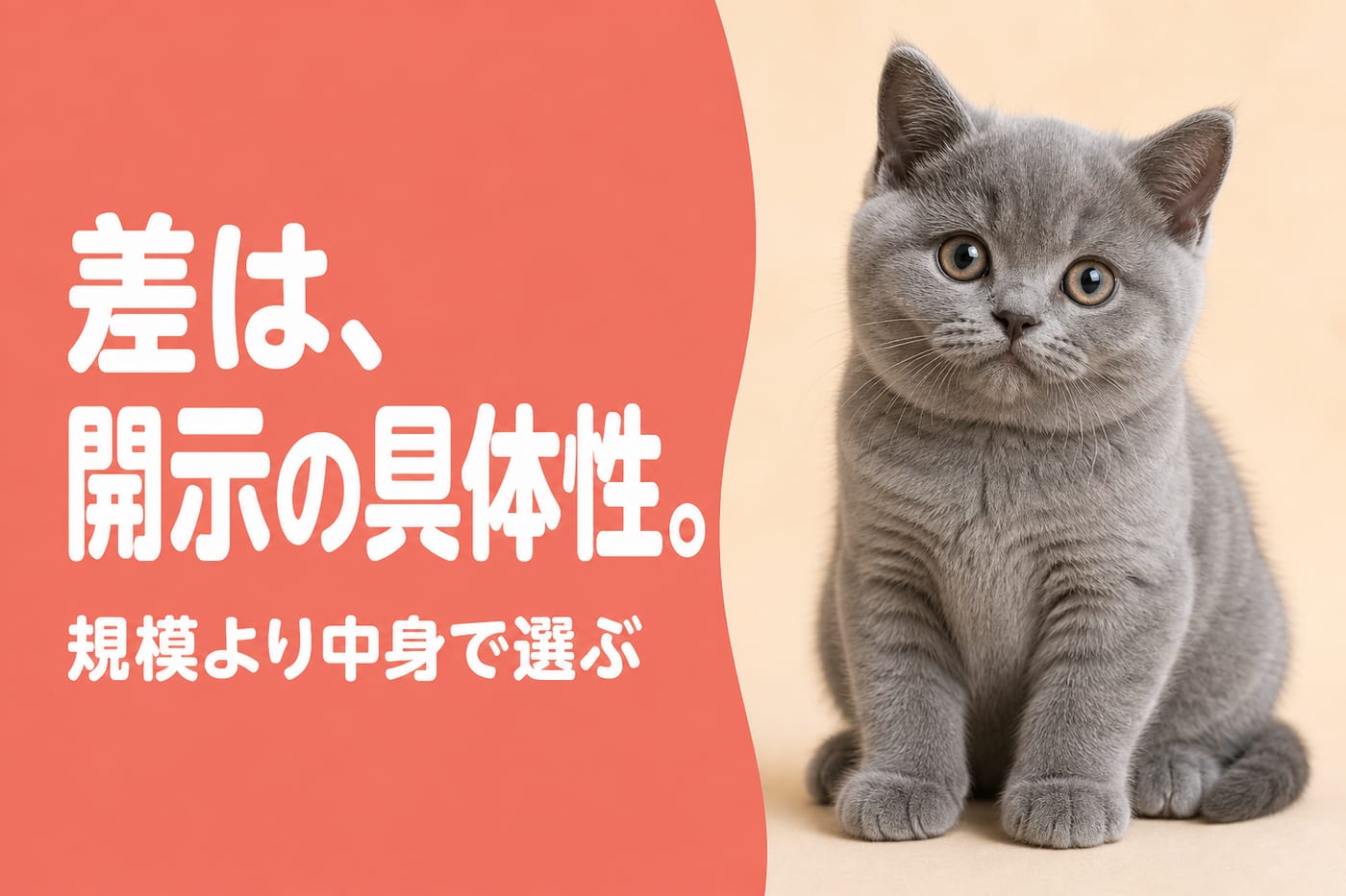 差は規模より開示の具体性と伝えるサーモン帯バナーと丸い頬のブルーグレーの子猫