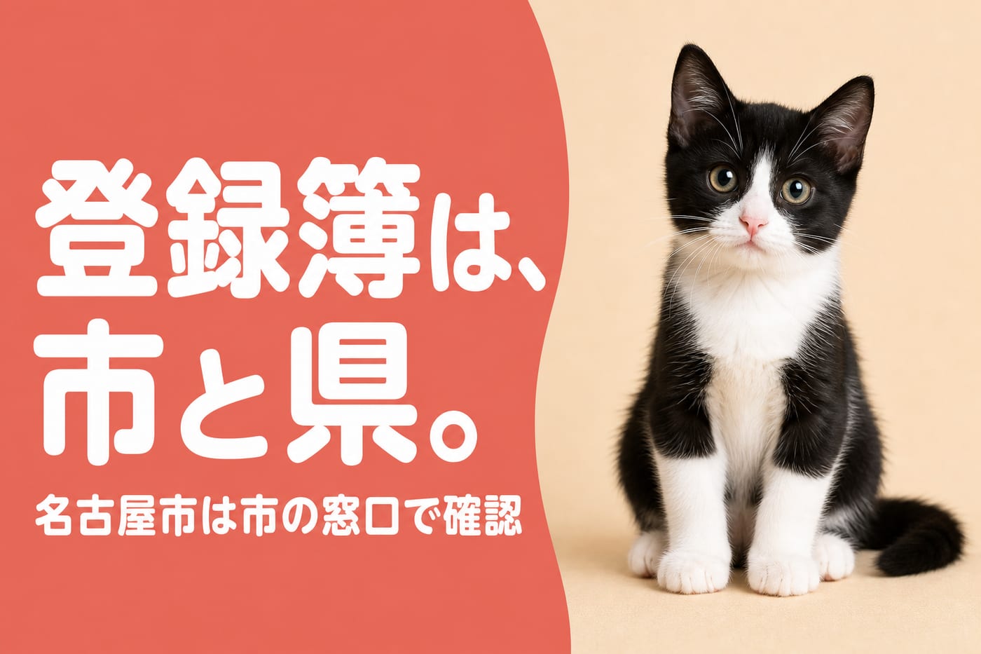登録簿は市と県に分かれ名古屋市は市の窓口で確認と伝えるサーモン帯バナーと白黒タキシードの子猫