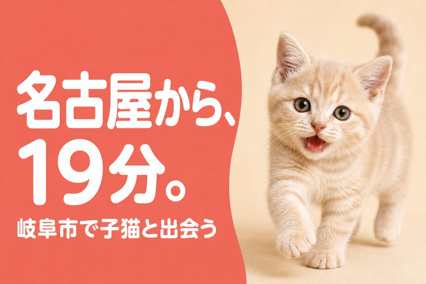 名古屋から19分で岐阜市に着くと伝えるサーモン帯バナーと元気に歩いてくるクリーム色の子猫