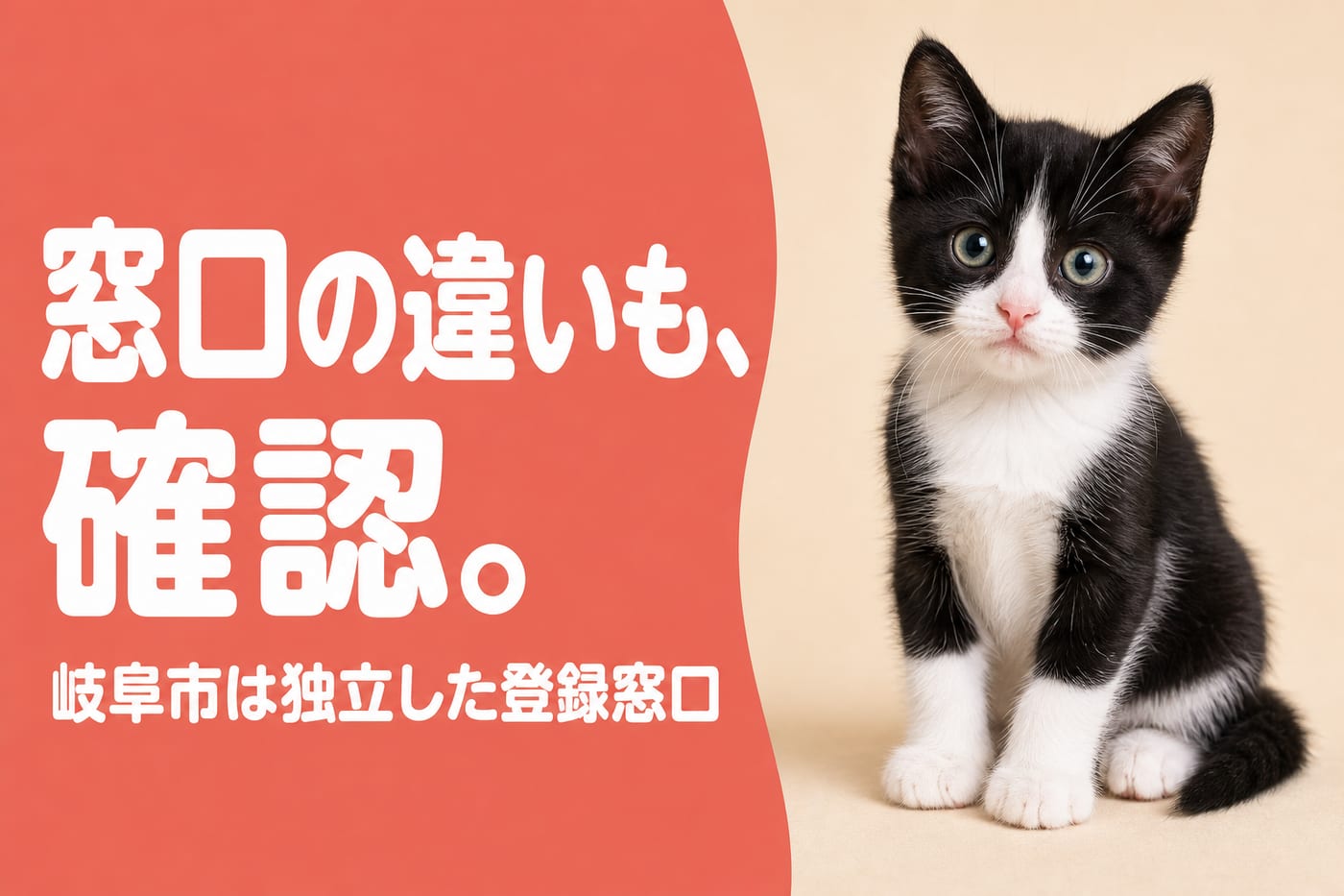 登録窓口の違いも確認と伝えるサーモン帯バナーと瞳の明るい白黒の子猫