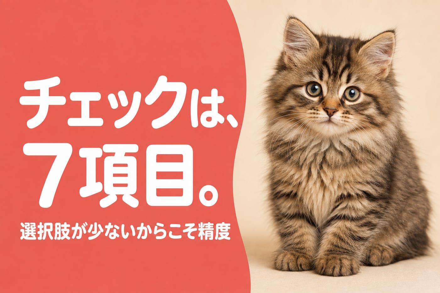 チェックは7項目で選択肢が少ないからこそ精度が大切と伝えるサーモン帯バナーとふわふわの襟毛のキジトラの子猫