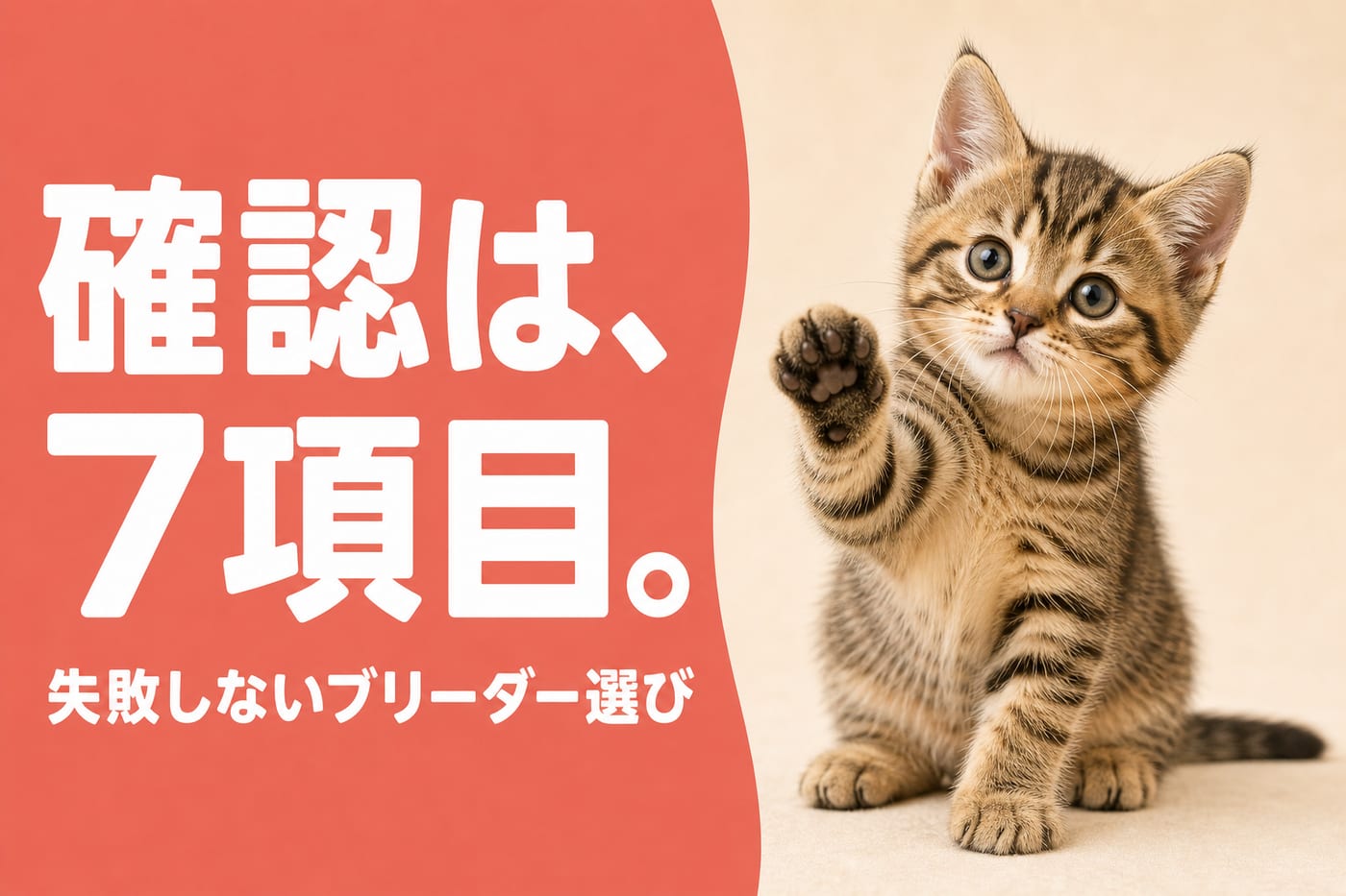 ブリーダー選びの確認は7項目と伝えるサーモン帯バナーと片手を上げるキジトラの子猫