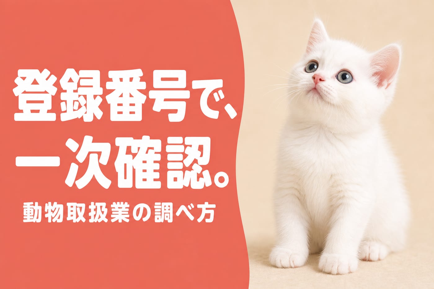 登録番号で一次確認できると伝えるサーモン帯バナーと見上げる白い子猫