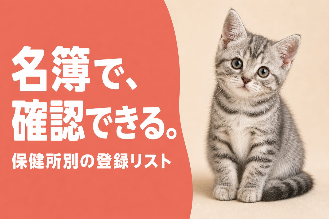 保健所別の名簿で登録を確認できると伝えるサーモン帯バナーとしっぽを揃えて座るグレータビーの子猫