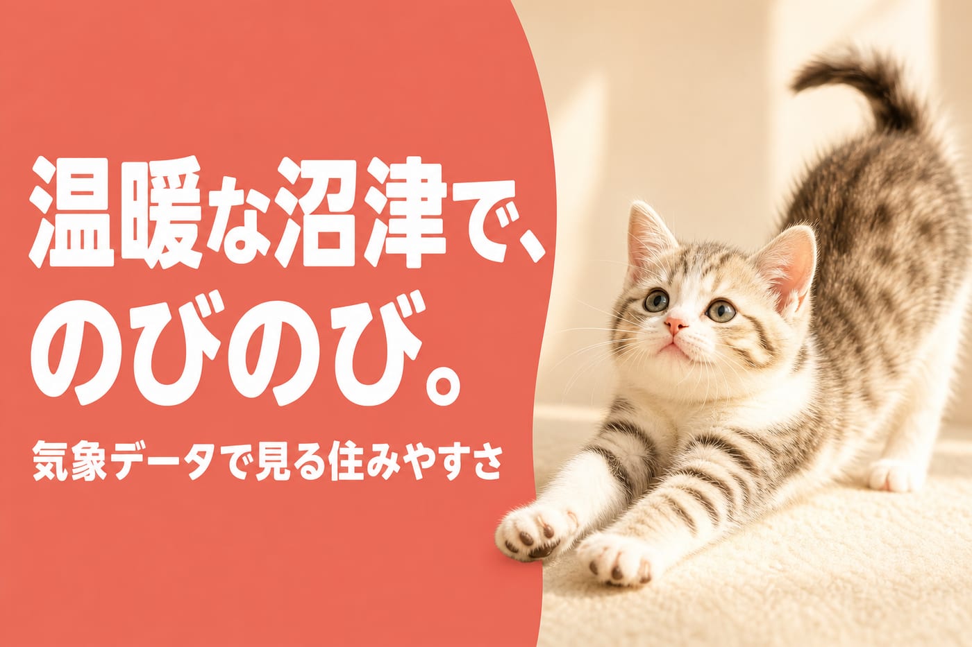 温暖な沼津でのびのび暮らせると伝えるサーモン帯バナーと日だまりで伸びをするキジトラの子猫