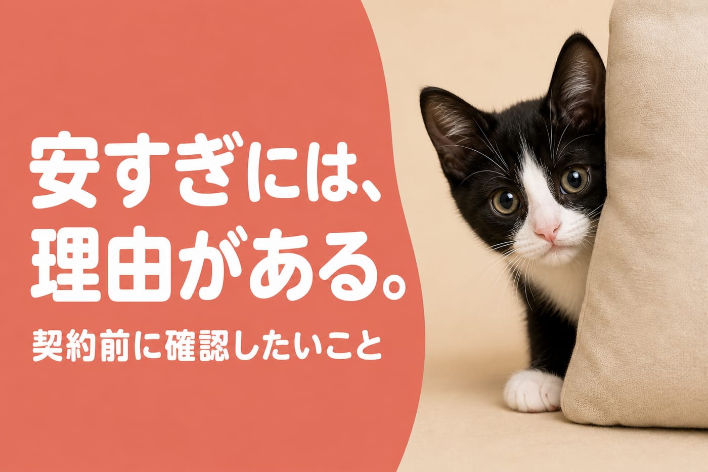 安すぎには理由があると伝えるサーモン帯バナーとクッションから顔を出す白黒の子猫