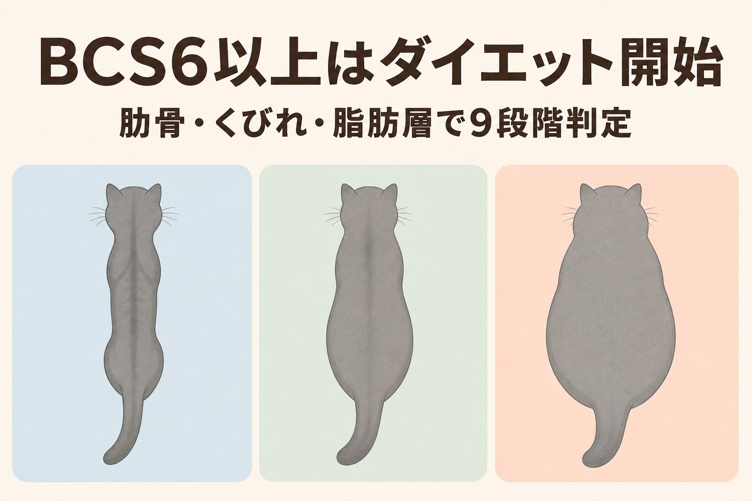 BCS9段階の体型シルエット比較図