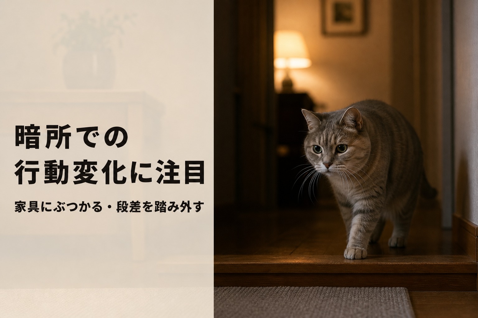 猫の白内障に気づく症状サイン