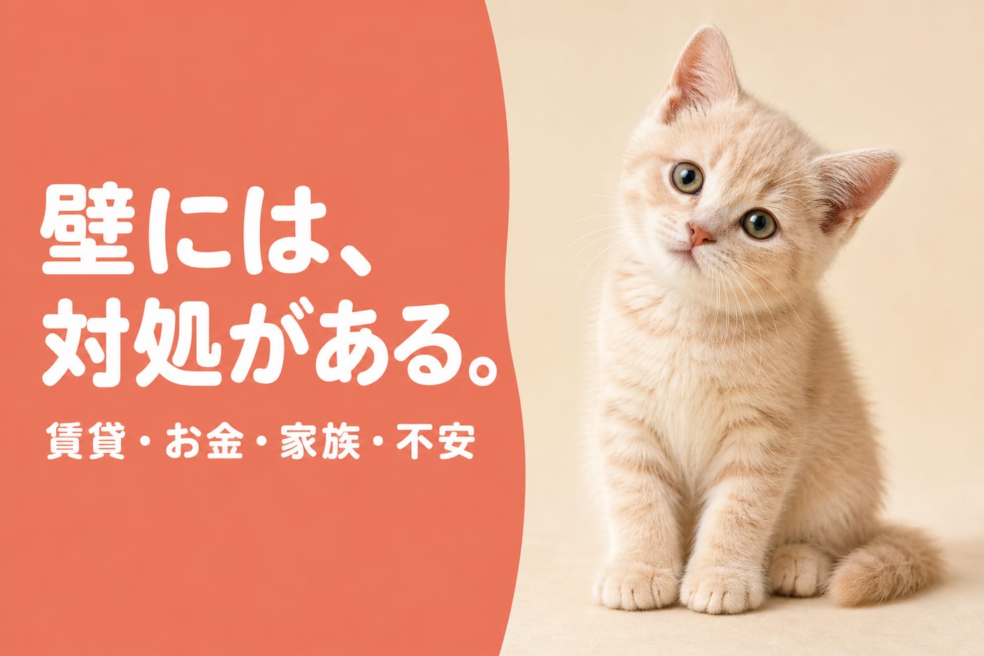 壁には対処がある。賃貸・お金・家族・不安——首をかしげるクリーム色の子猫