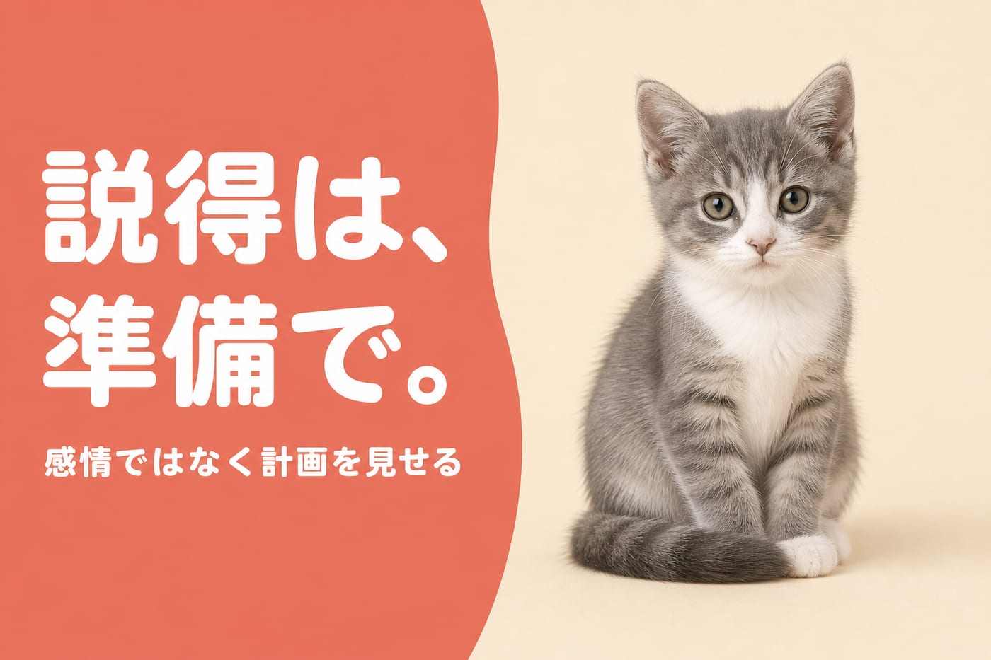 説得は準備で。感情ではなく計画を見せる——しっぽを前足に巻いて落ち着いて座るグレーと白の子猫