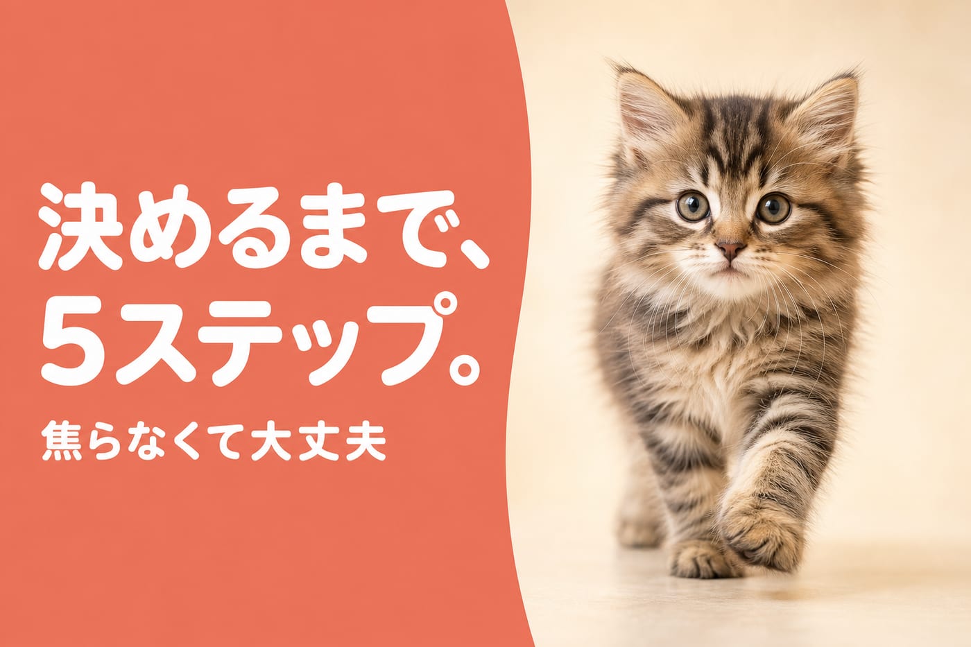 決めるまで5ステップ。焦らなくて大丈夫——一歩前へ踏み出す長毛の子猫
