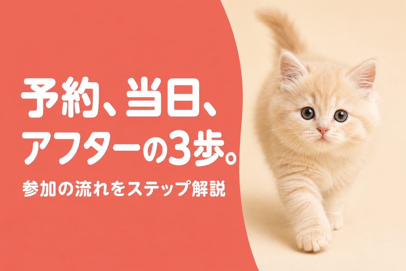 予約・当日・アフターの3ステップを示すサーモン帯バナーと歩いてくるクリーム色の子猫