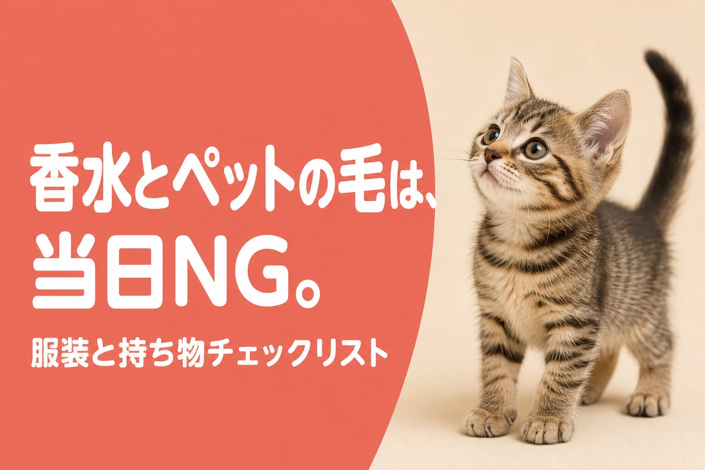 香水とペットの毛は当日NGと伝えるサーモン帯バナーと見上げるキジトラの子猫