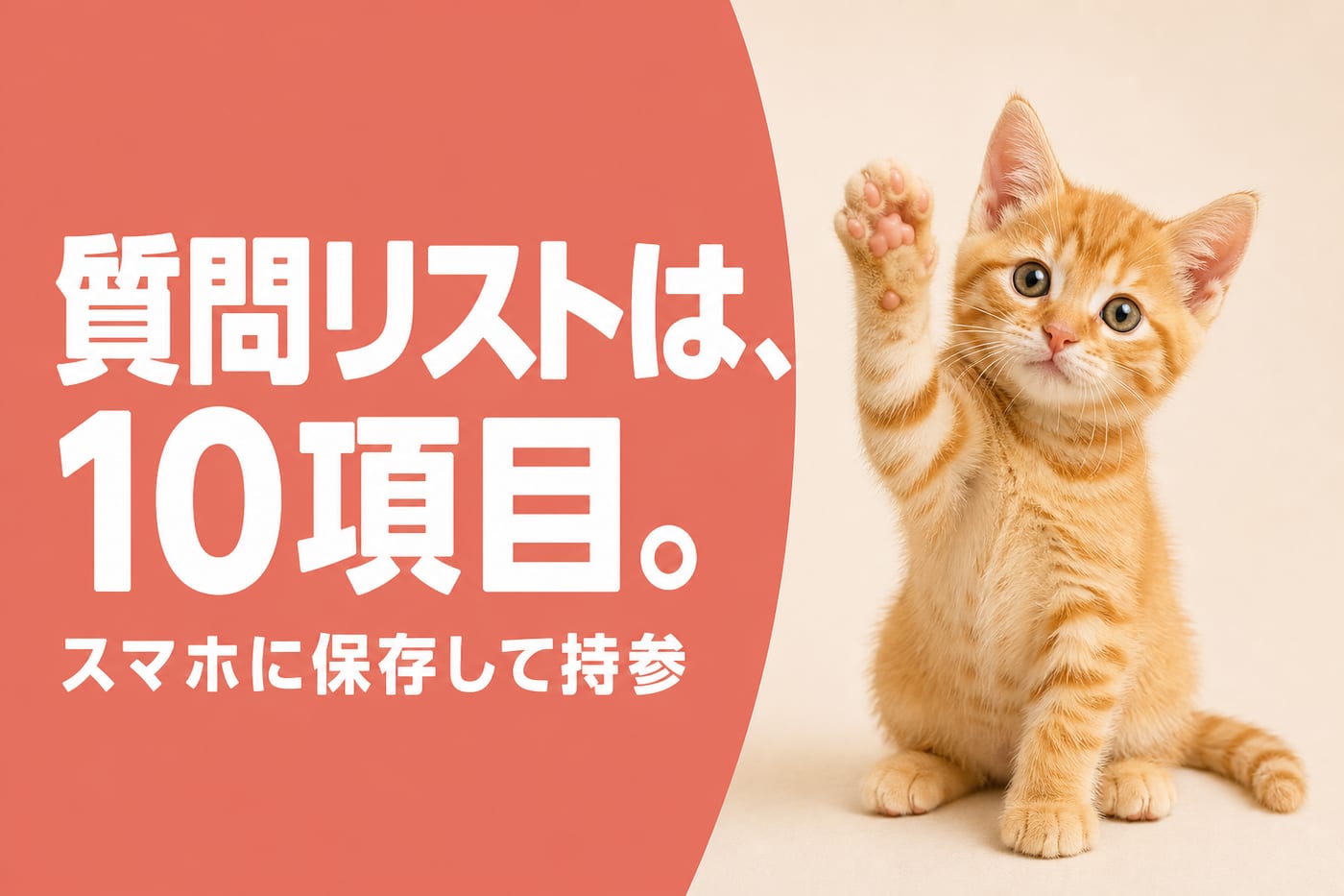 質問リスト10項目をスマホに保存して持参と伝えるサーモン帯バナーと片手を上げる茶トラの子猫