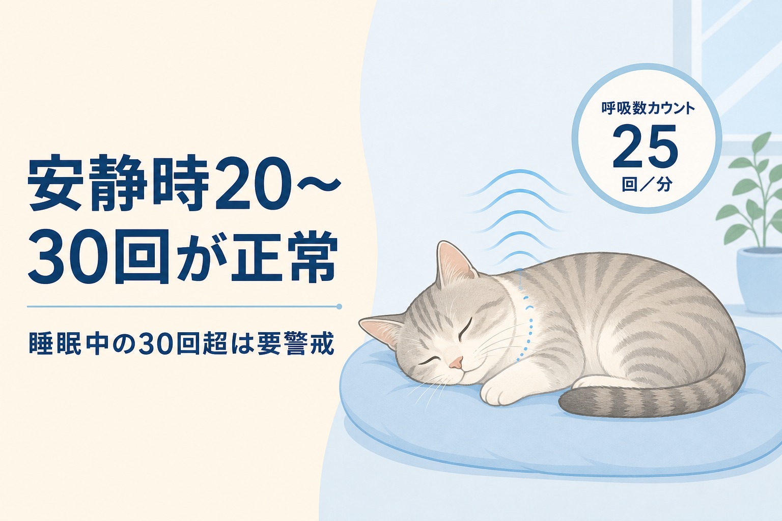 安静時20〜30回が正常な呼吸数を示す図