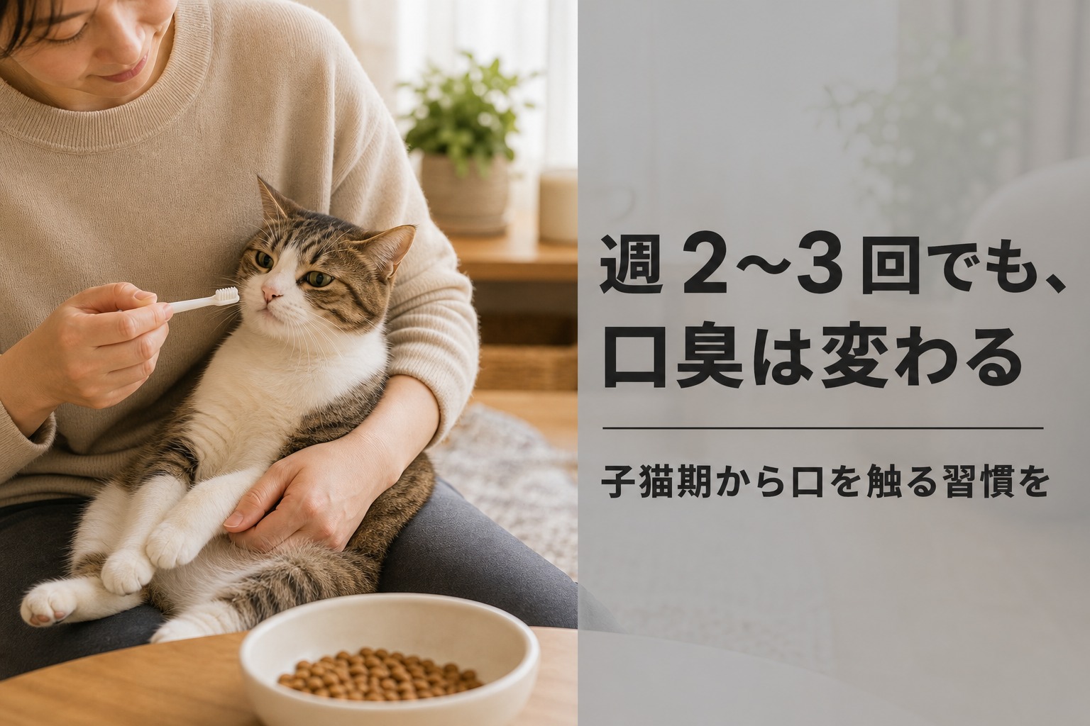 週2〜3回の歯磨きでも猫の口臭は変わる｜子猫期から口を触る習慣を