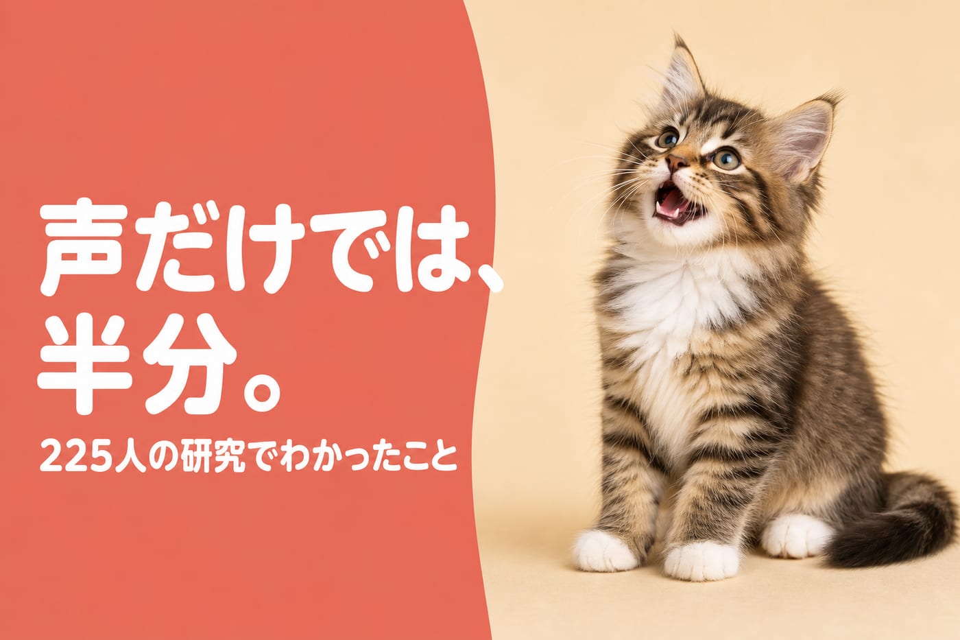 声だけでは半分と伝えるサーモン帯バナーと見上げて鳴く子猫
