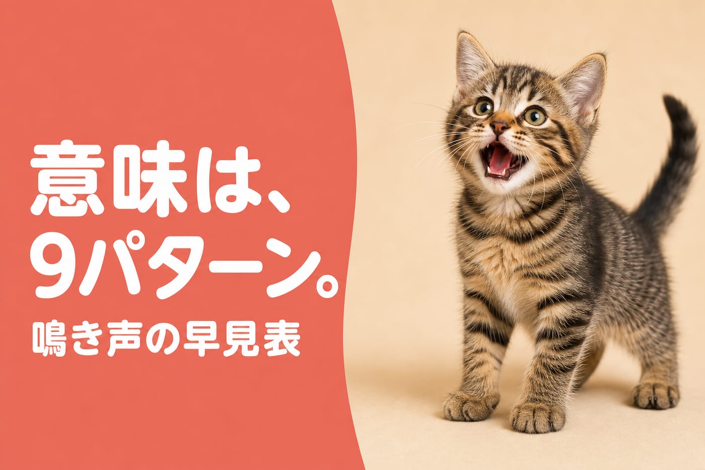 意味は9パターンと伝えるサーモン帯バナーと口を開けて鳴く子猫