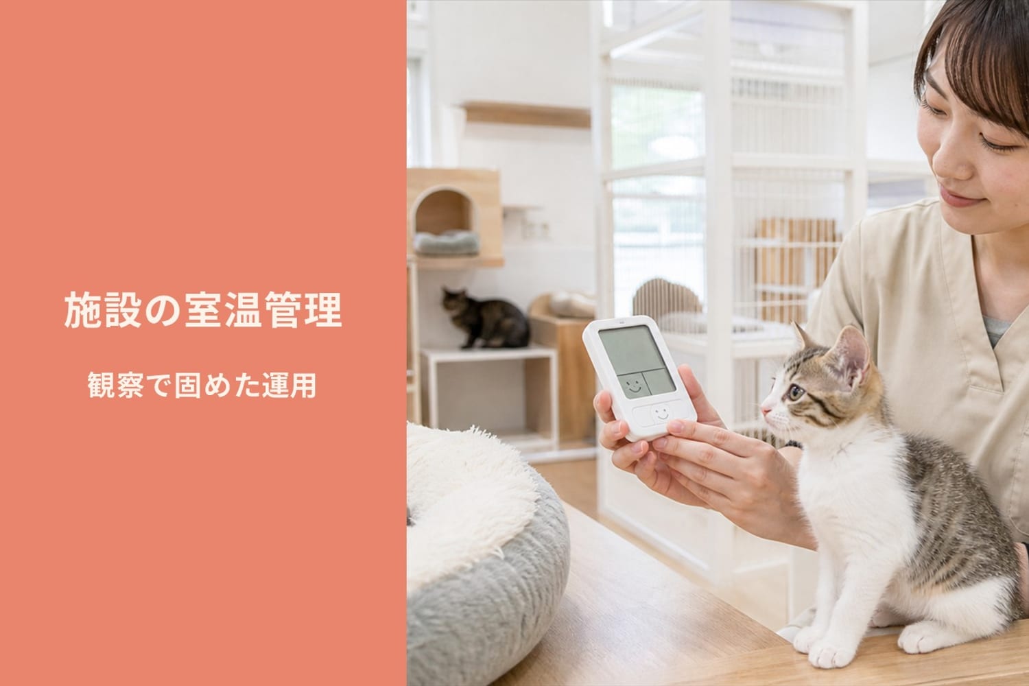 Flowens Catの施設内で温湿度計を確認するスタッフと過ごす子猫