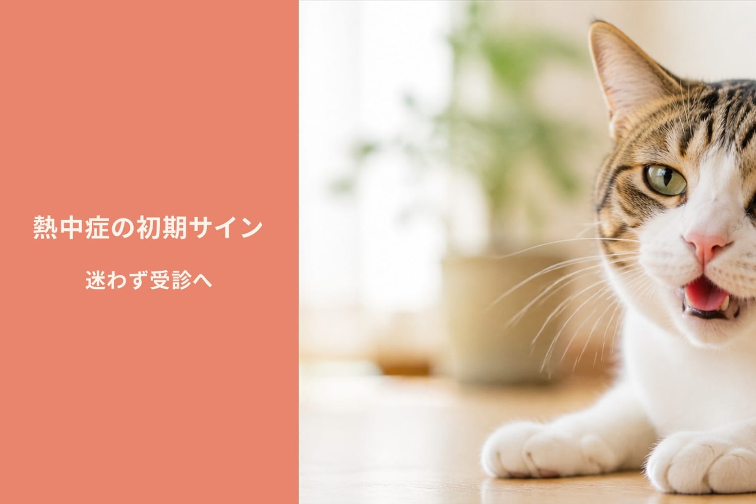 口を開けてハアハアと息をする猫のイラスト。熱中症の初期サインは早期発見が重要