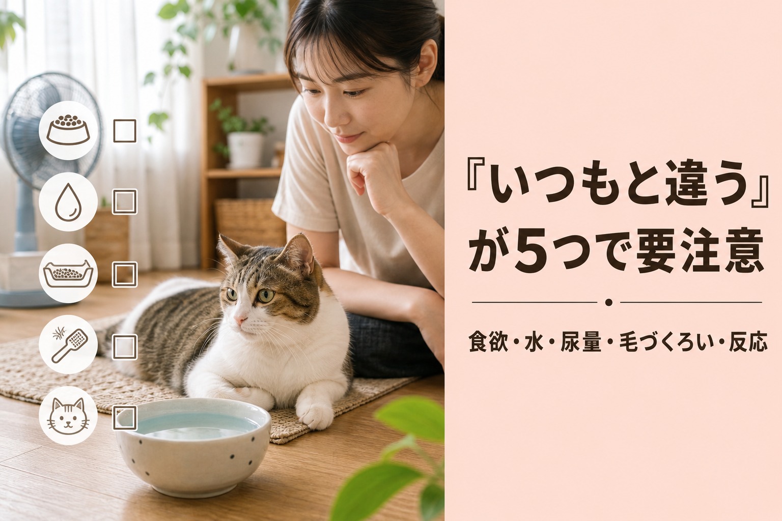 猫の夏バテ症状チェック|食欲・水・尿量・毛づくろい・反応の変化に注意