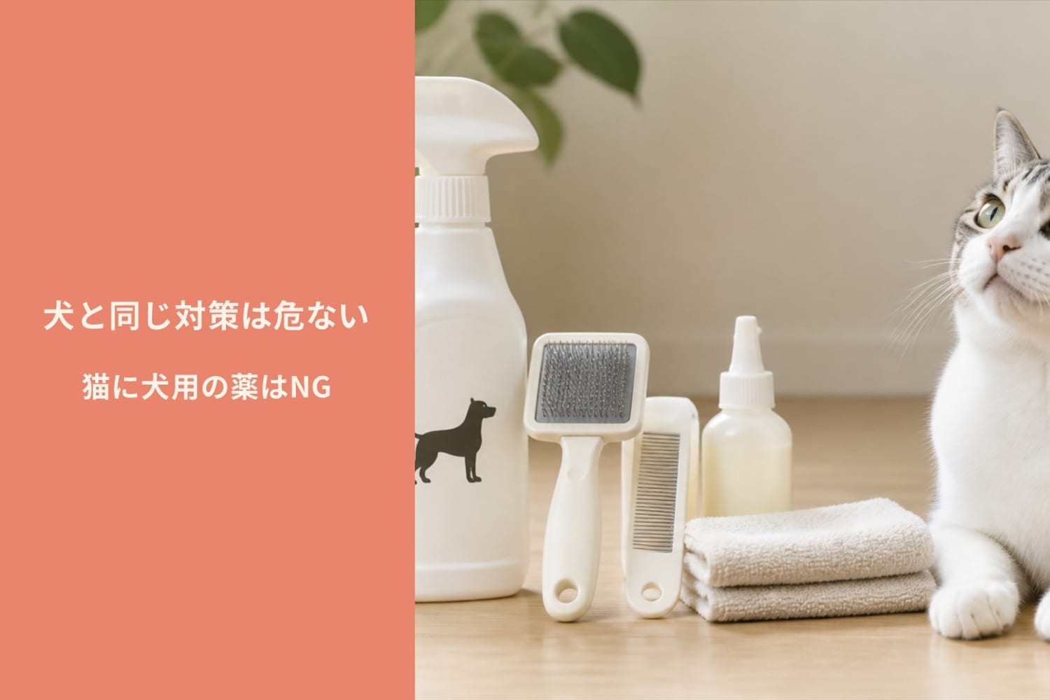動物病院処方の猫用ノミ・ダニ予防薬のパッケージと、犬用市販の駆除スプレー。犬と猫で薬剤が違う理由を考えるきっかけになる一枚