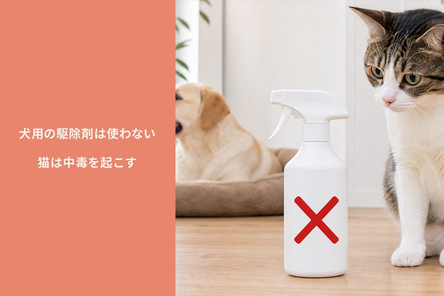 犬用と表示された駆除剤のボトルに×印、猫のイラストとの組み合わせで注意喚起するイメージ