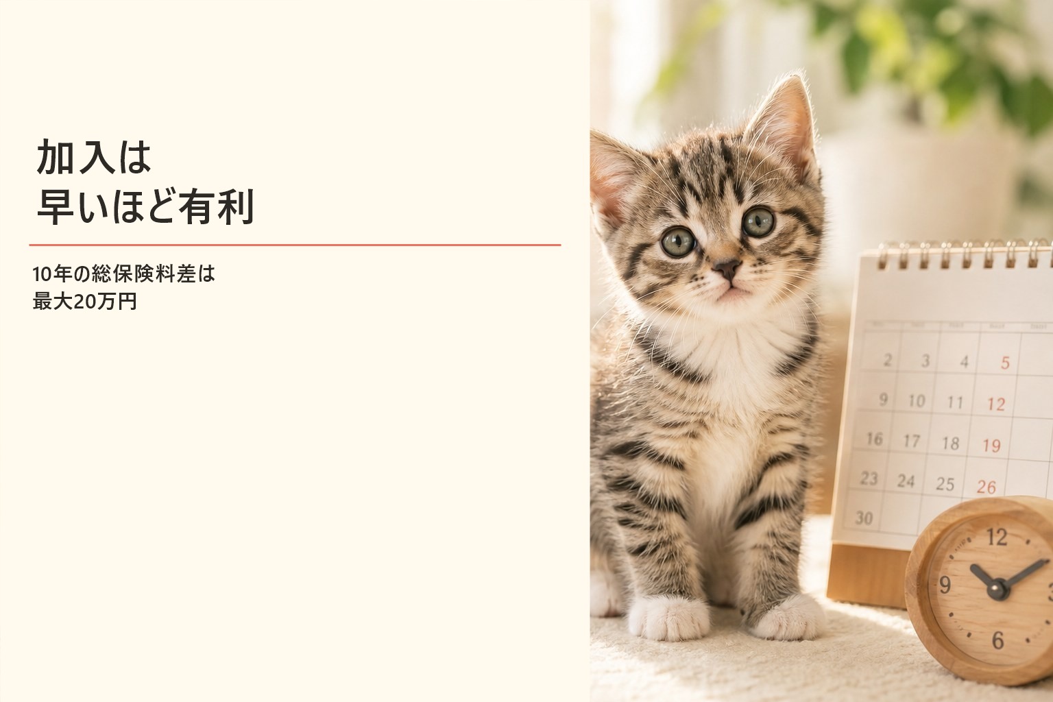 子猫期の早期加入が有利な理由