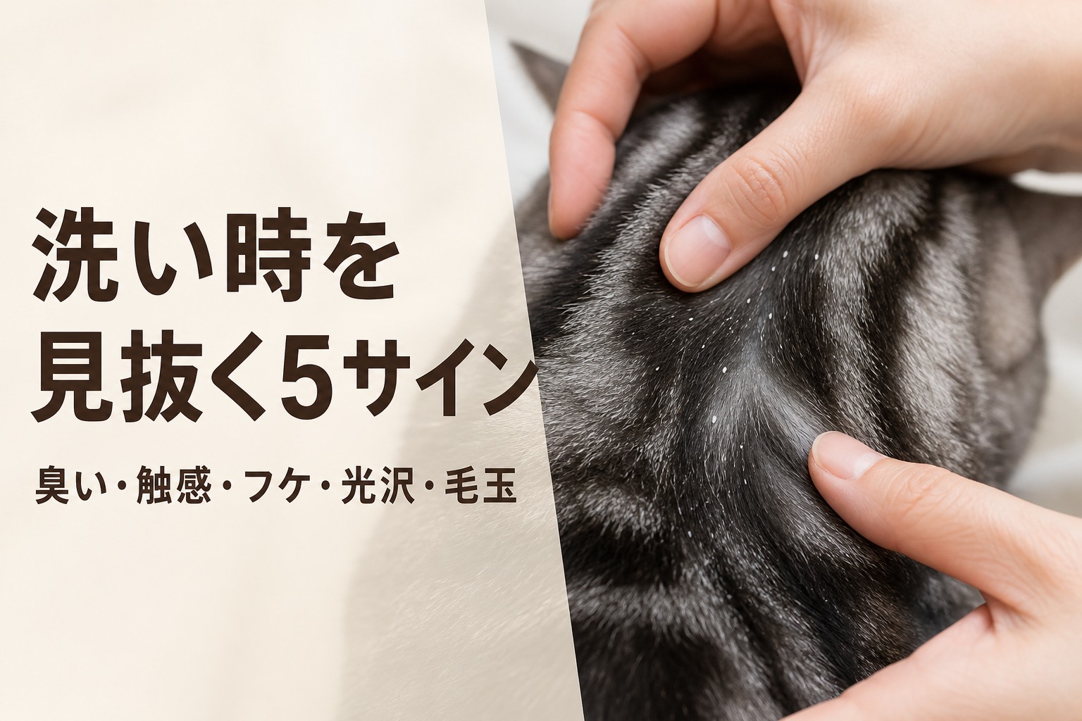 洗い時を見抜く5サインを示す被毛チェック
