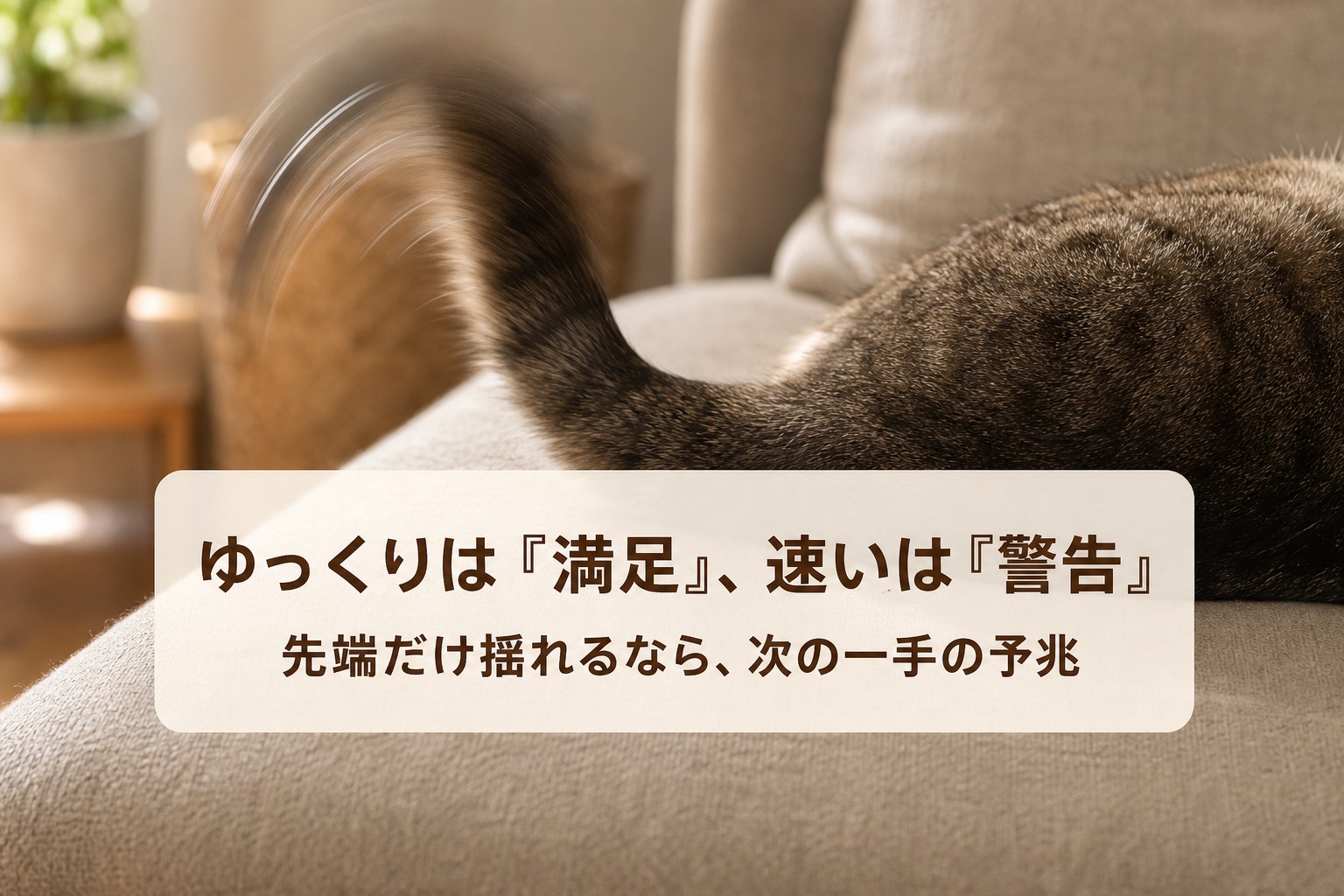 ソファでしっぽを揺らす猫。ゆっくりは『満足』、速いは『警告』、先端だけ揺れるなら次の一手の予兆
