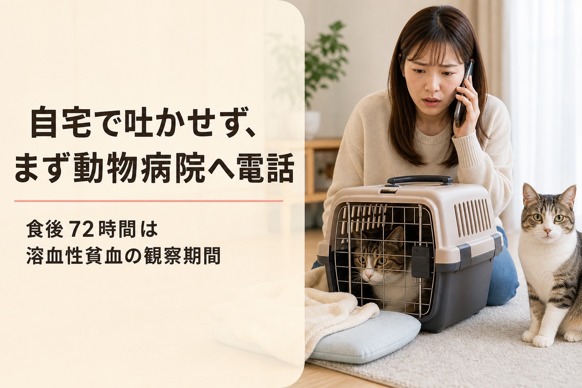 動物病院へすぐに電話する飼い主のイメージ