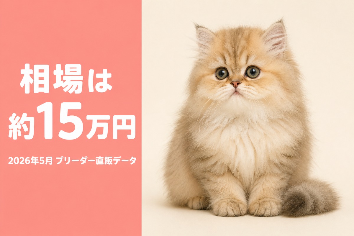 相場は約15万円・ブリーダー直販データ