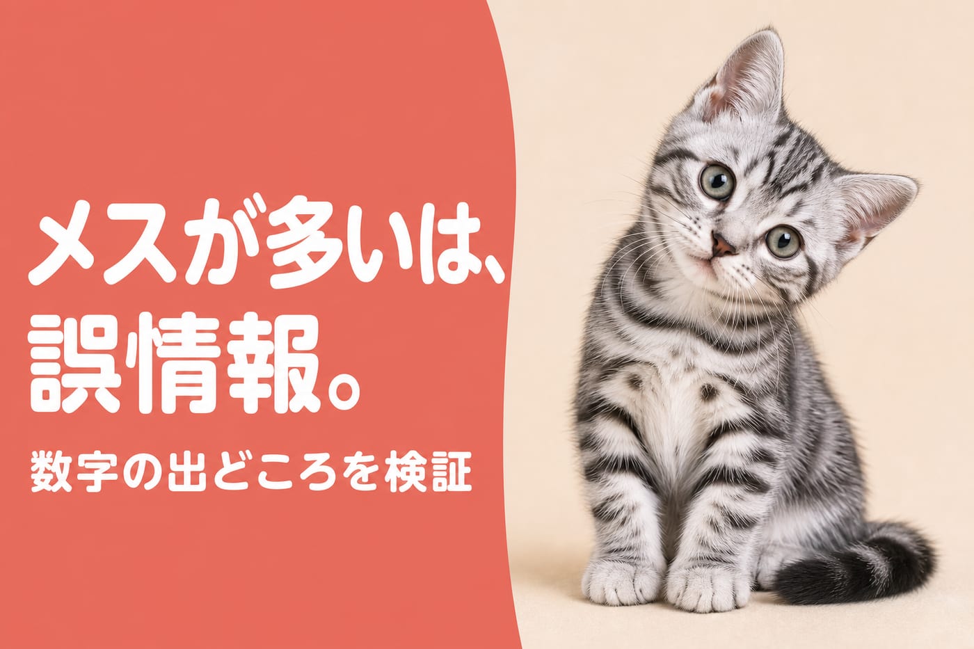 メスが多いは誤情報と伝えるサーモン帯バナーと首をかしげるサバトラの子猫