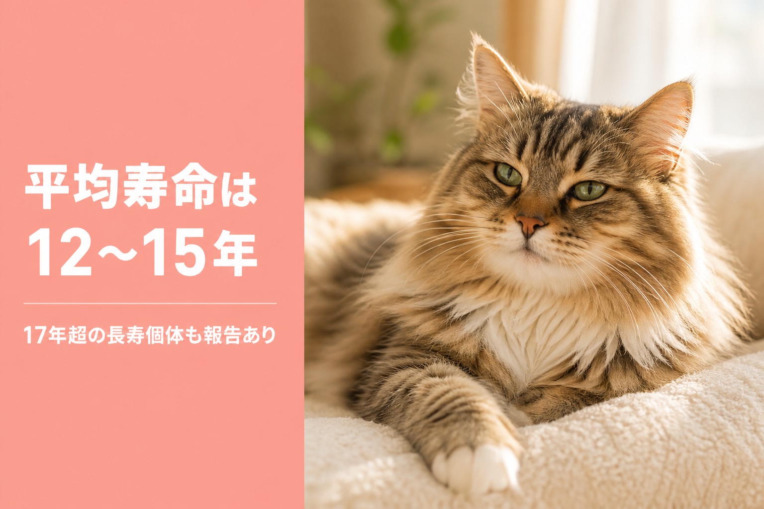 平均寿命12〜15年と17年超の長寿個体