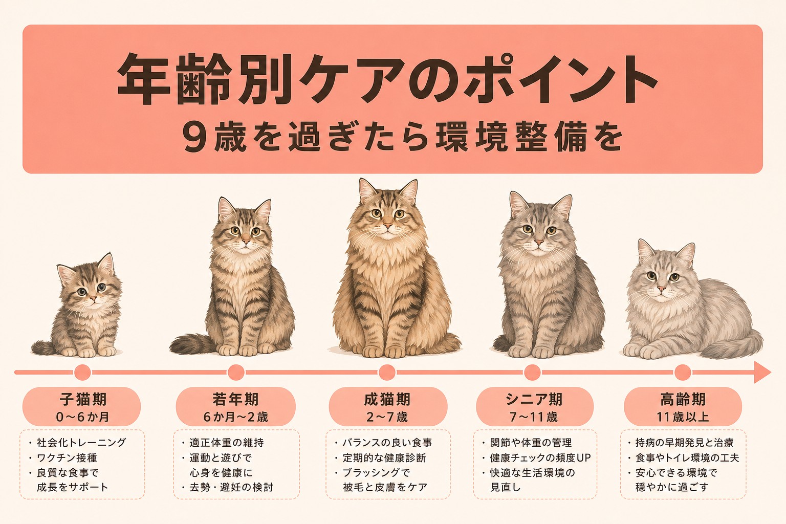 年齢別ケアのポイント・9歳超は環境整備を