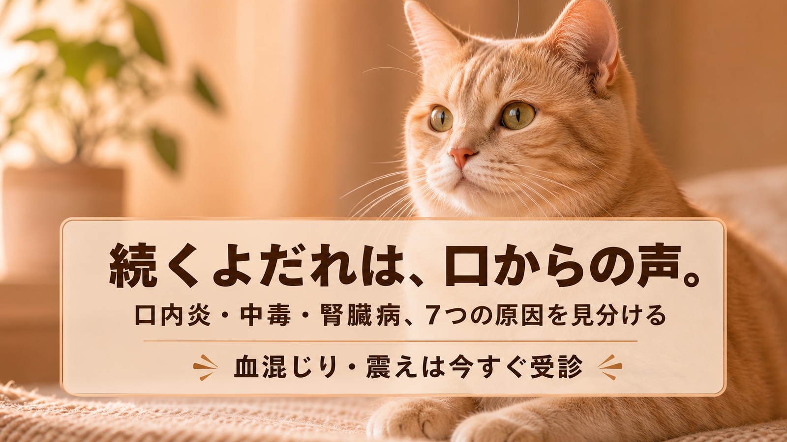 【2026年版】猫のよだれが多い原因7つ|口内炎・中毒・腎臓病など緊急度別に解説 | Flowens Cat