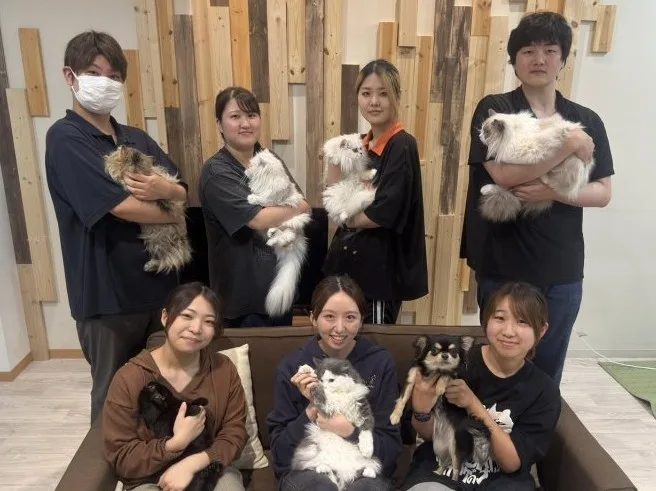 パピーヴィレッジ シラコバト（埼玉県春日部市）- ブリーダー 平 ほの花